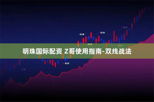 明珠国际配资 Z哥使用指南-双线战法