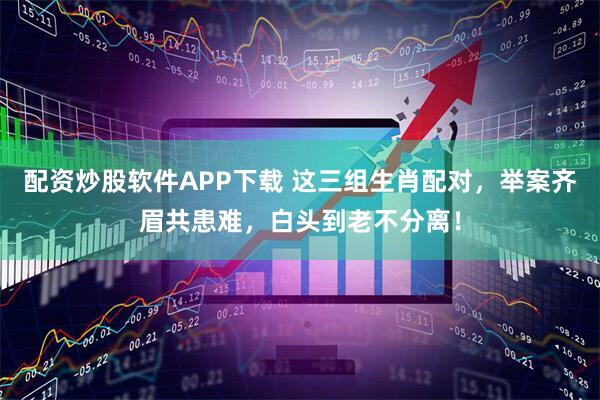 配资炒股软件APP下载 这三组生肖配对，举案齐眉共患难，白头到老不分离！